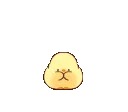 Ducklove Ducklove