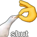 shut