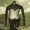 monkiflip