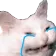 CatCry