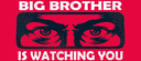 bigbrotheriswatchingyou
