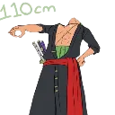 Zoro110 Zoro110