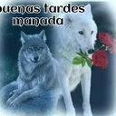 descarga14