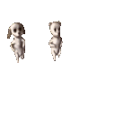 Z 2 Dancing Dogs Discord Emoji