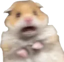 fear