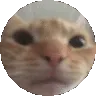 Ljcatspin Ljcatspin