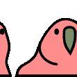 ParrotRainbow