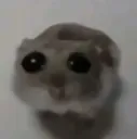 mewhenbro