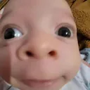 bebe
