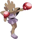 hitmonchan