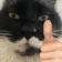 kittythumbsup