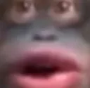 fmonky