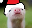 gfgbfdhi