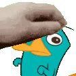 perry_petpet