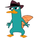 hf_perry