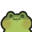 FrogWhatdidyousayP2U_kapebeans