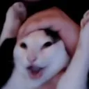yippy yippy