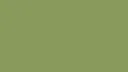 sagegreencolorsolidbackground192