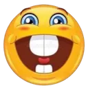 dumbfuck dumbfuck