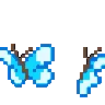 1bluebutterfly