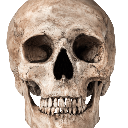 Skull03