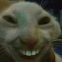 xdd