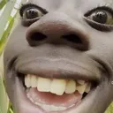 sus