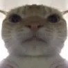 huh huh
