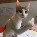 middlefinger