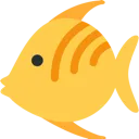 tropical_fish