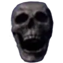 skull skull