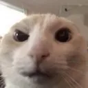 Huh