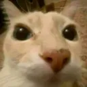 emoji_14 emoji_14