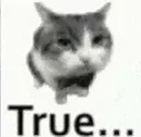 true_fancycat