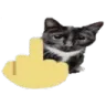 Middle_Finger_Cat Discord Emoji