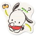 wh_pochaccohuh