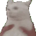 shake