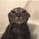 soggy
