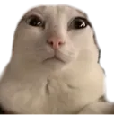 reginald