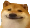 Doge Smile dogesmile Discord Emoji