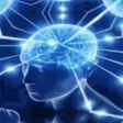 mirage91Brain mirage91Brain