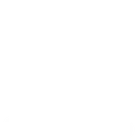 communist2