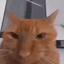 lol