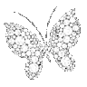 ybtrflyWhite