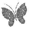 ybtrflyGrey