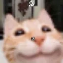 silly_1 silly_1