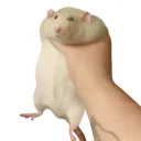 grab