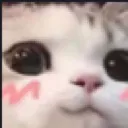 uwu