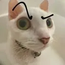 silly_huh_2 silly_huh_2
