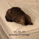 Cryingcat cryingcat Discord Emoji